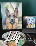 Custom Pet Portrait 11"x14" (Most Popular)