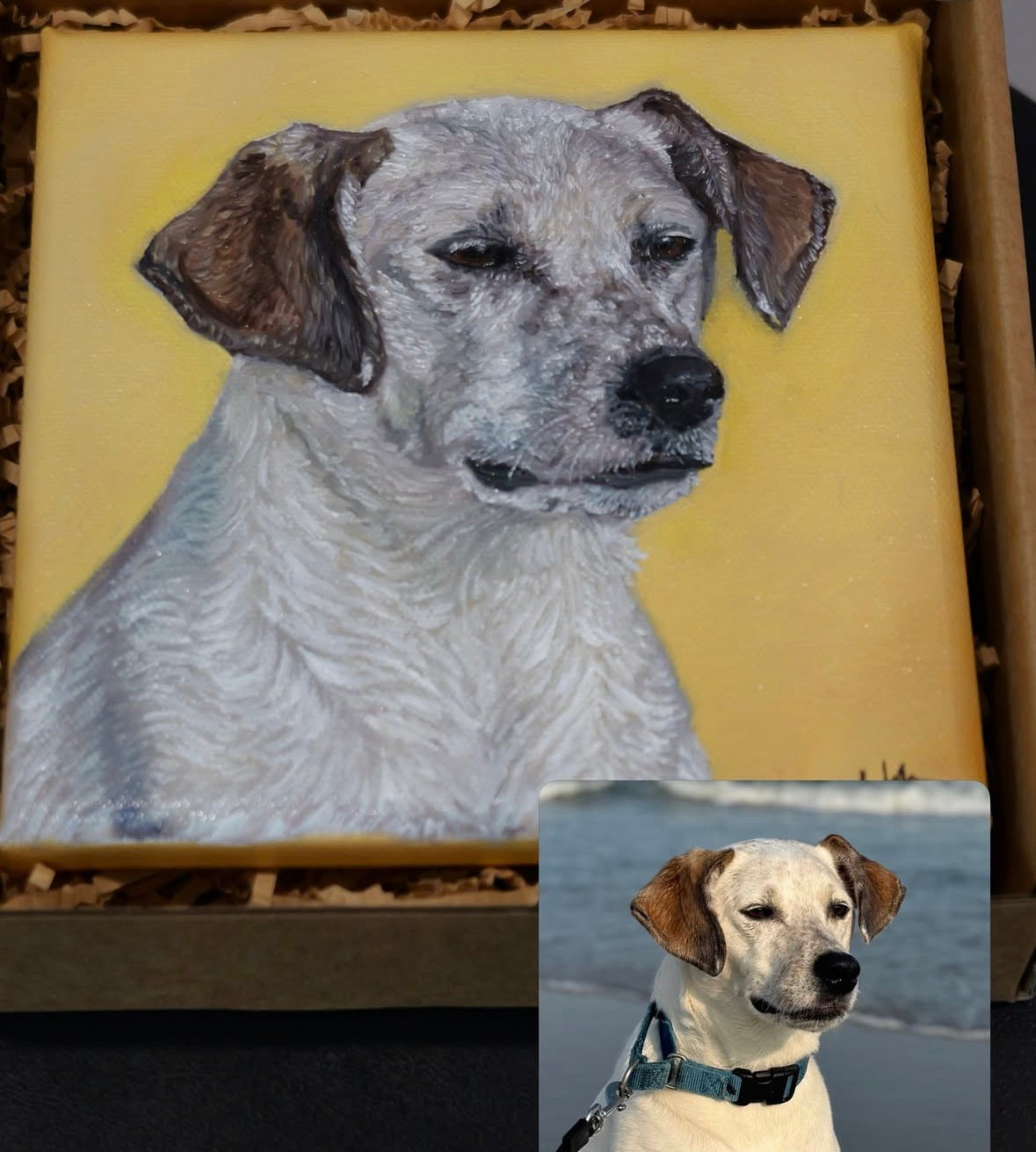 Custom Mini Pet Portrait (6"x6")