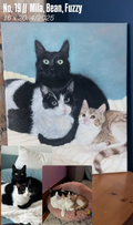 Custom Pet Portrait 16"x20"